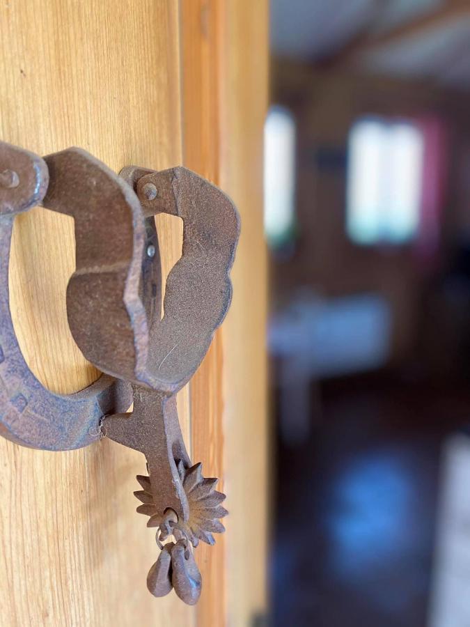 Apartman Na Ranci Pod Lovosem Velemin Eksteriør bilde